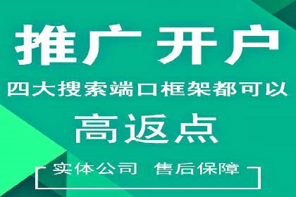 解析SEM代运营托管公司在市场竞争中的角色