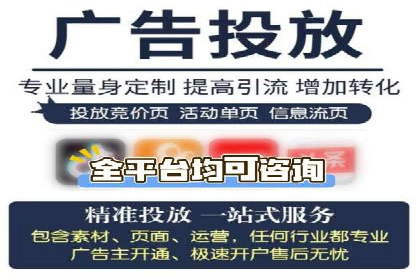SEM实战案例：案例分析广告投放